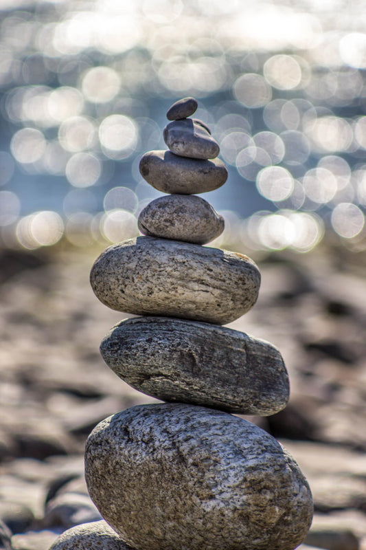 Familiewellness Gezondheid Samen Verbeteren