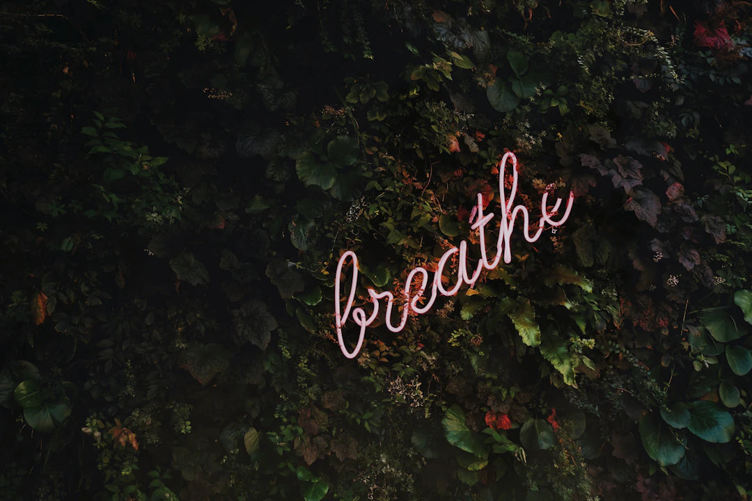 Meditatietechnieken voor Beginners Ontdek Innerlijke Rust
