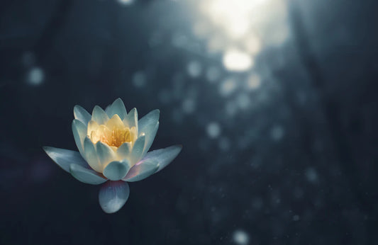 Meditatie en mindfulness Een weg naar welzijn