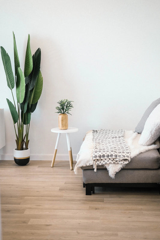 De Kracht van Planten in Je Interieur