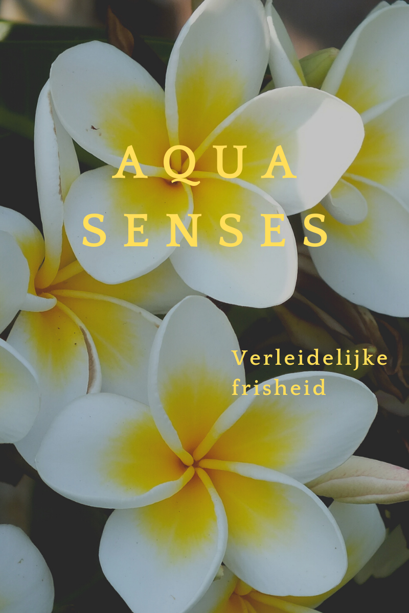Aqua Senses All in One Shampoo per capelli e corpo - cura intelligente, 300 ml